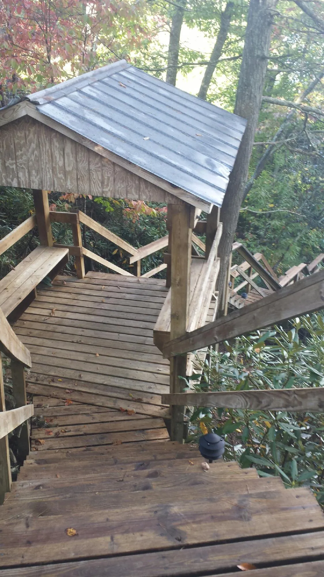 Metal roofed shelter over wooden steps on a wooded walkway — Skylight Repair & Installation work by our crew in Lake Hamilton