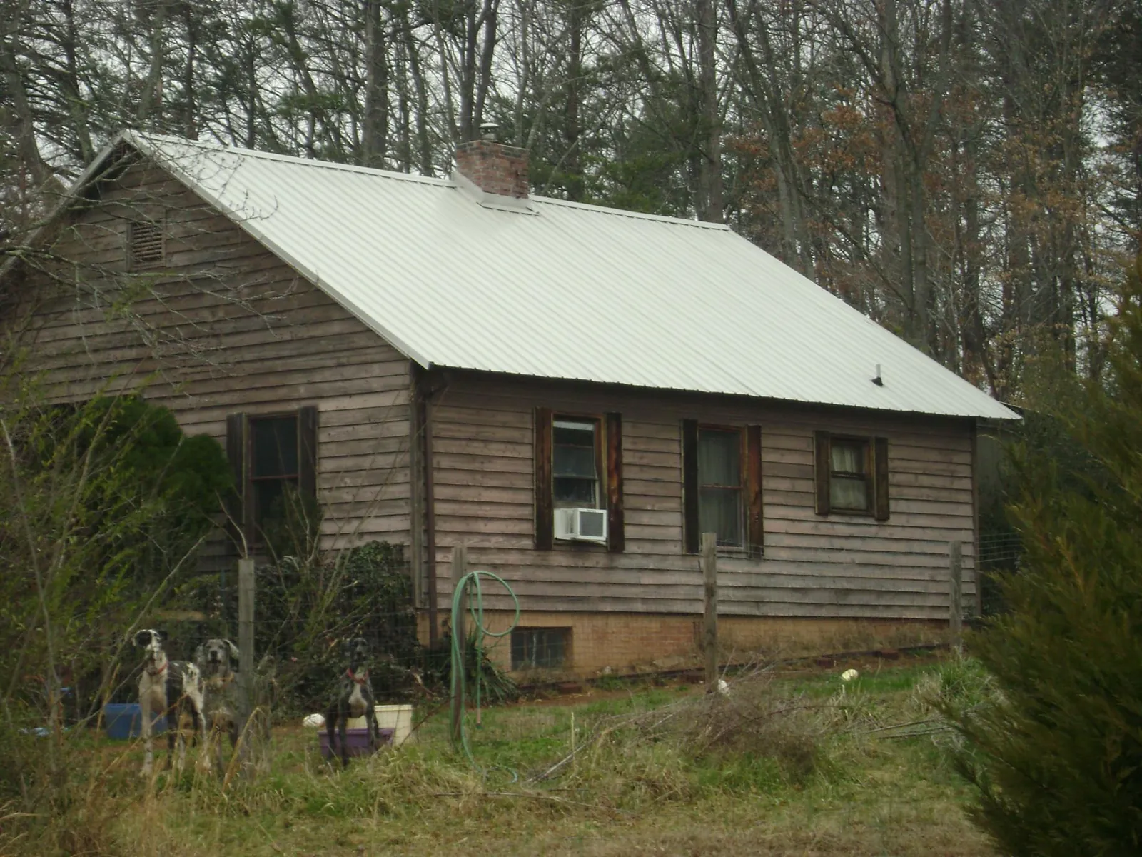 White metal roof on an old wood sided farmhouse, from a Asphalt Shingle Roof Repair job in Lake Hamilton